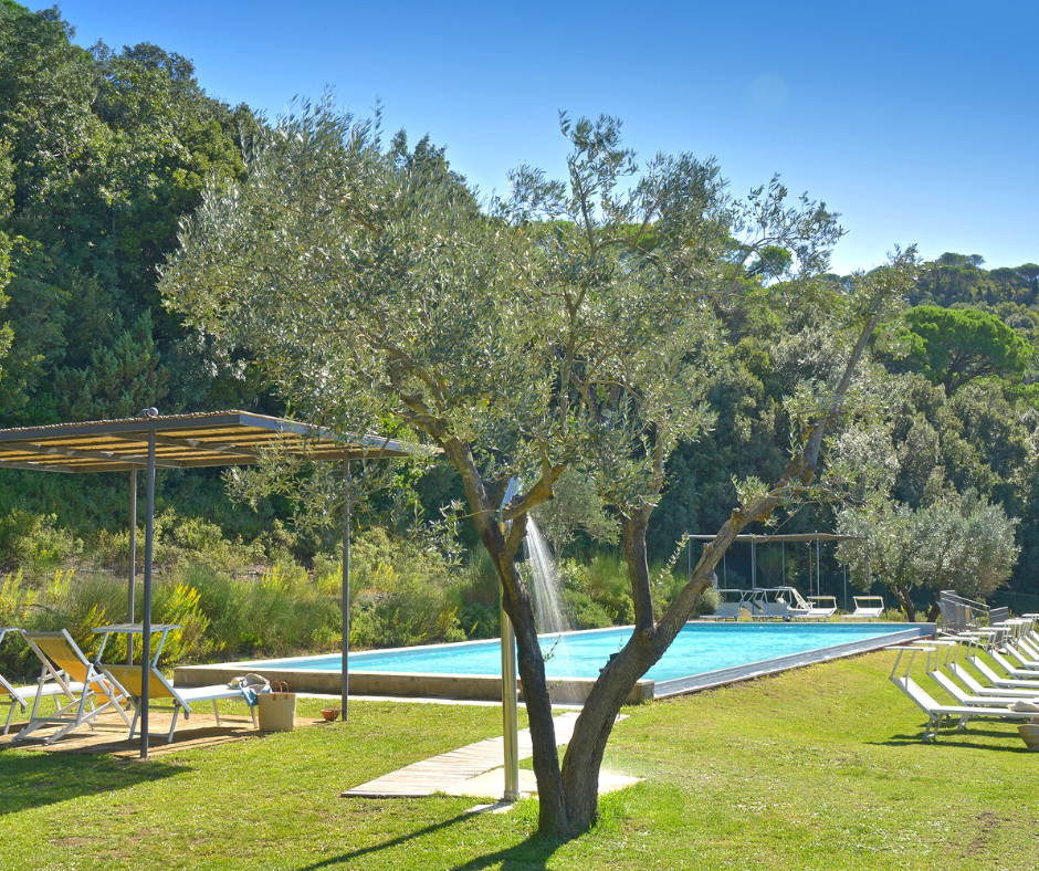 Castello Ginori - swimming pool